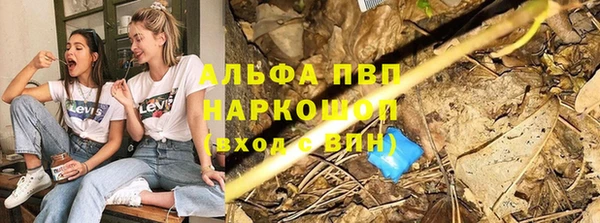 спайс Арсеньев