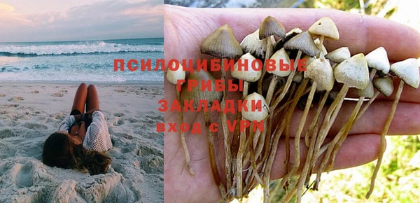 спайс Арсеньев