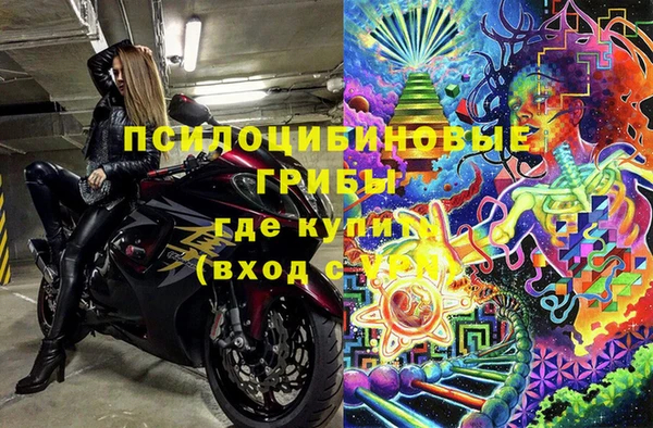 индика Рославль
