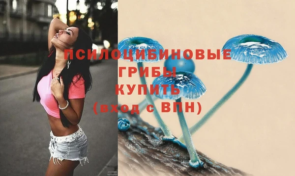 спайс Арсеньев