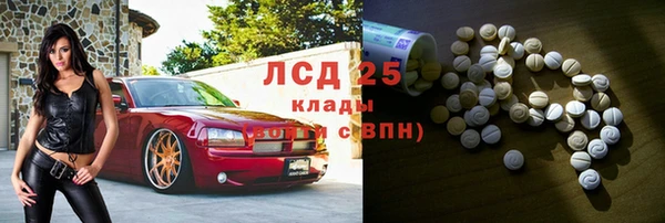 спайс Арсеньев
