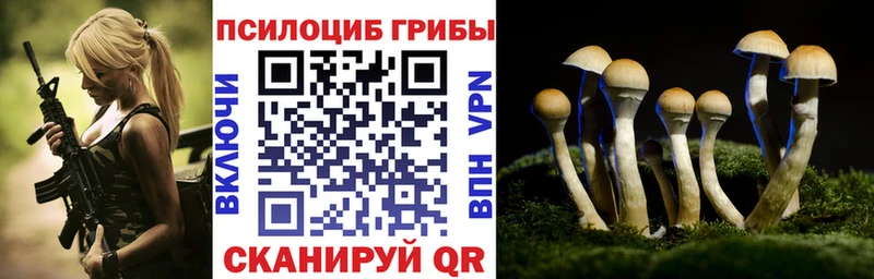 Псилоцибиновые грибы Psilocybe  где продают наркотики  Верхняя Салда 